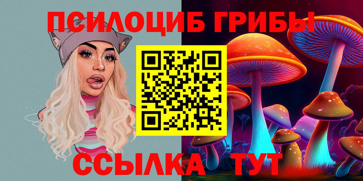 Искитим  Галлюциногенные грибы Psilocybine cubensis  Вход с VPN 