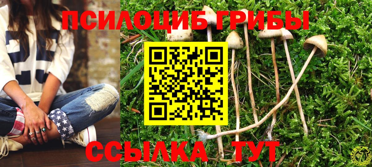 Галлюциногенные грибы ЛСД Искитим